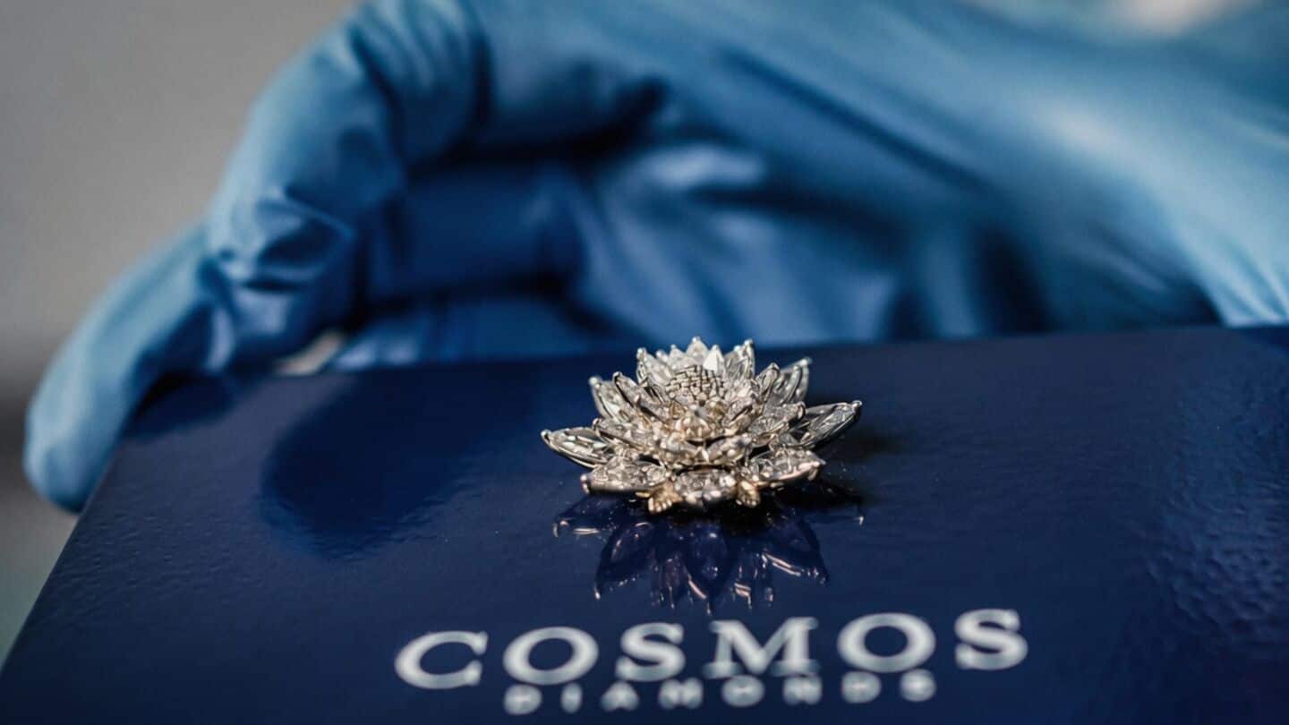 Cosmos Diamonds's Cosmic Bloom with 32 lab-grown diamonds aboard Vikram-1