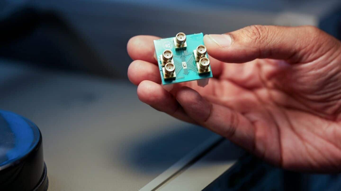 Shiitake mushrooms could replace rare metals in future computers