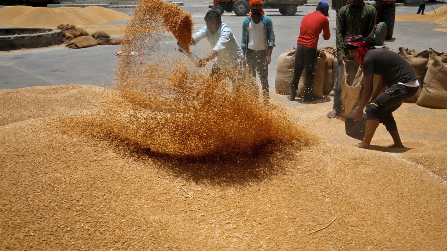 India lifts wheat export ban, Uttar Pradesh wheat prices jump