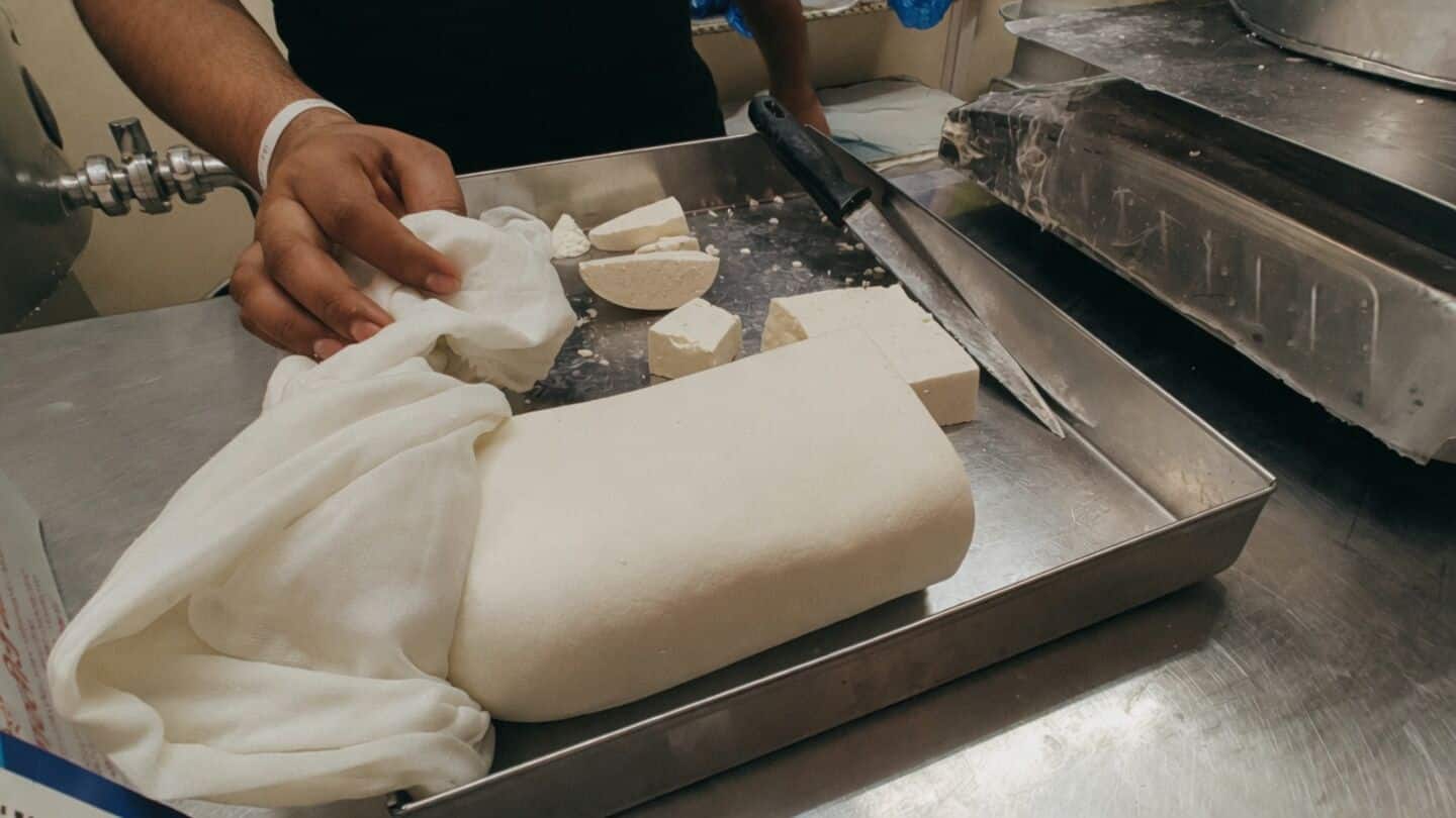 Punjab government bans non-dairy analog paneer statewide for 1 year