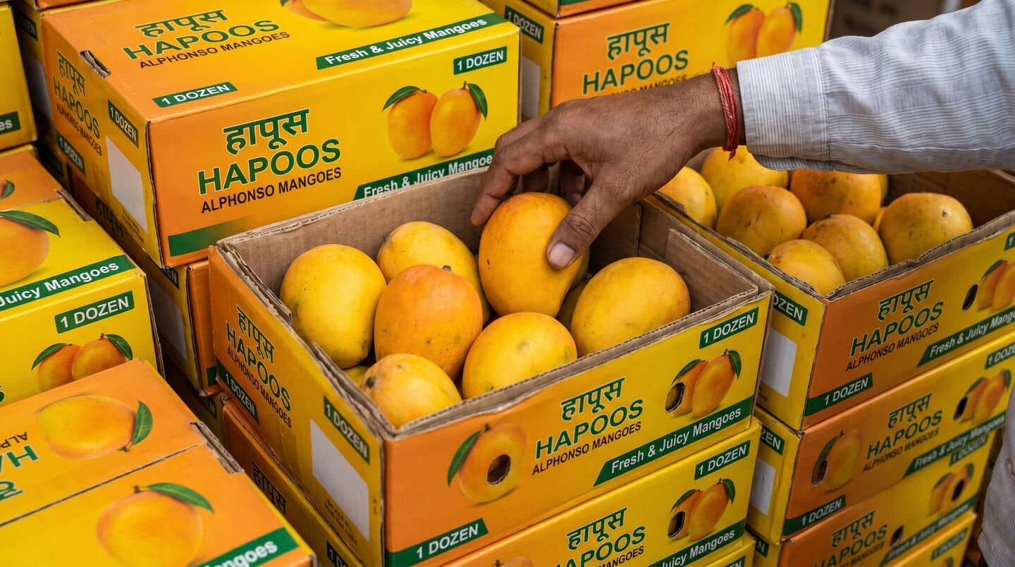 आम के राजा पर आफत: देवगड में 90 प्रतिशत अल्फोंसो फसल चौपट, लाखों कार्टन गोदामों में कैद