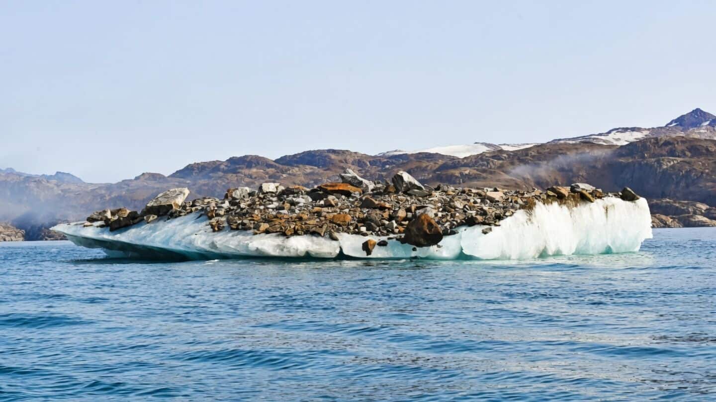 Arctic icebergs drop stones and sediment creating new seafloor habitats