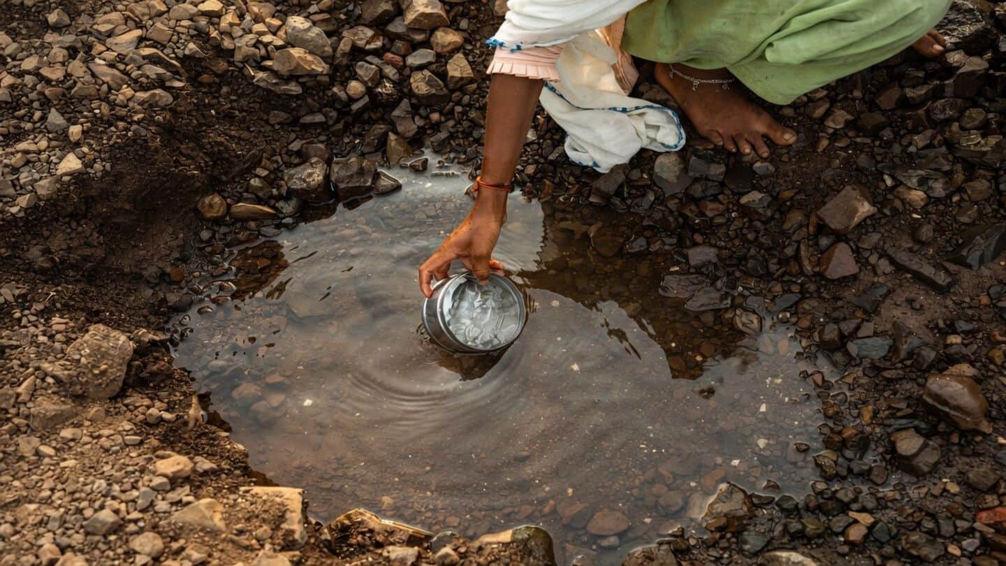 El Nino and patchy monsoon may raise Indian food prices