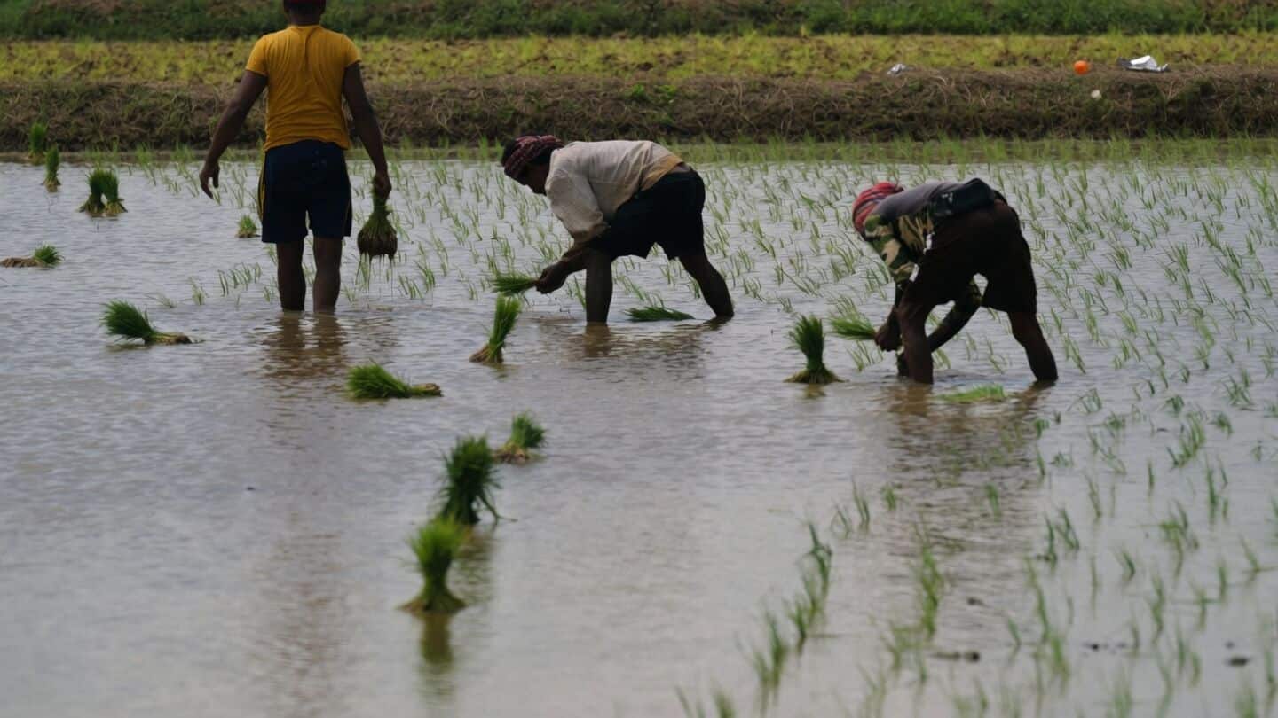 Kerala seeks ₹110cr emergency aid for flood-hit farmers after floods
