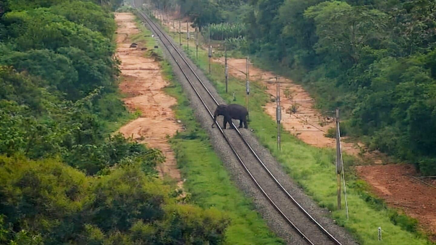 Indian Railways deploys AI systems to improve train safety