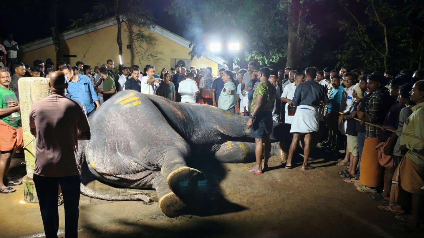 Pallatt Brahmadathan, 65, elephant killed by lightning near Erattupetta