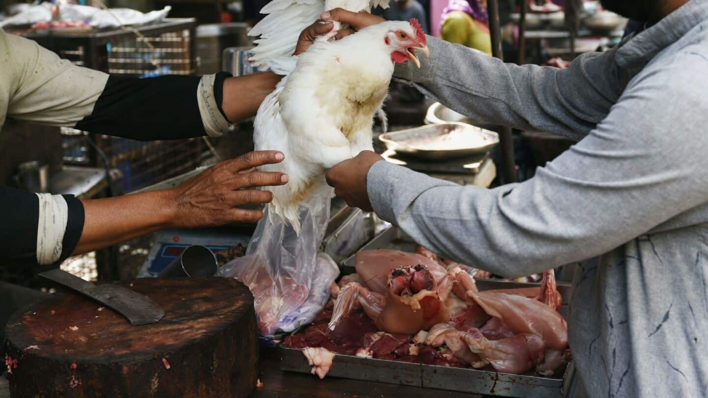 Poultry traders pause broiler sales in Tamil Nadu and Puducherry