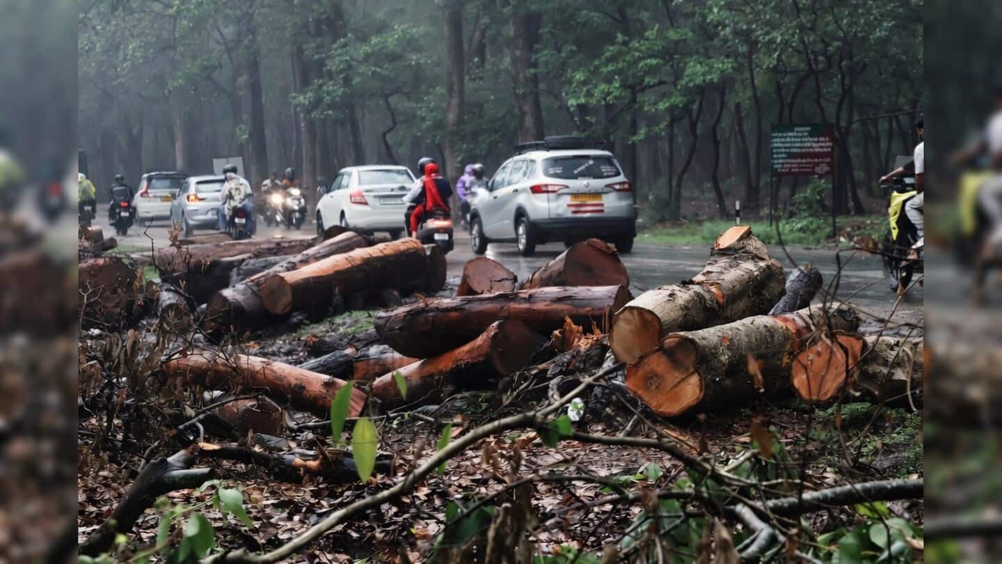 Uttarakhand ₹743cr road project to cut over 3,000 trees