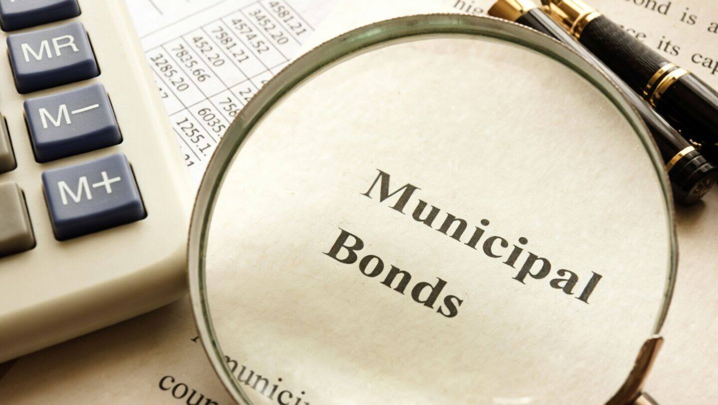 Novelis to raise $225 million via municipal bonds post New York fire