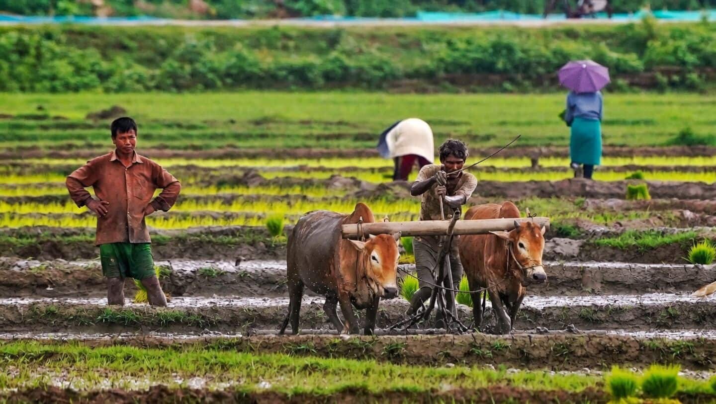 India's 2026 monsoon will determine crop yields and food prices