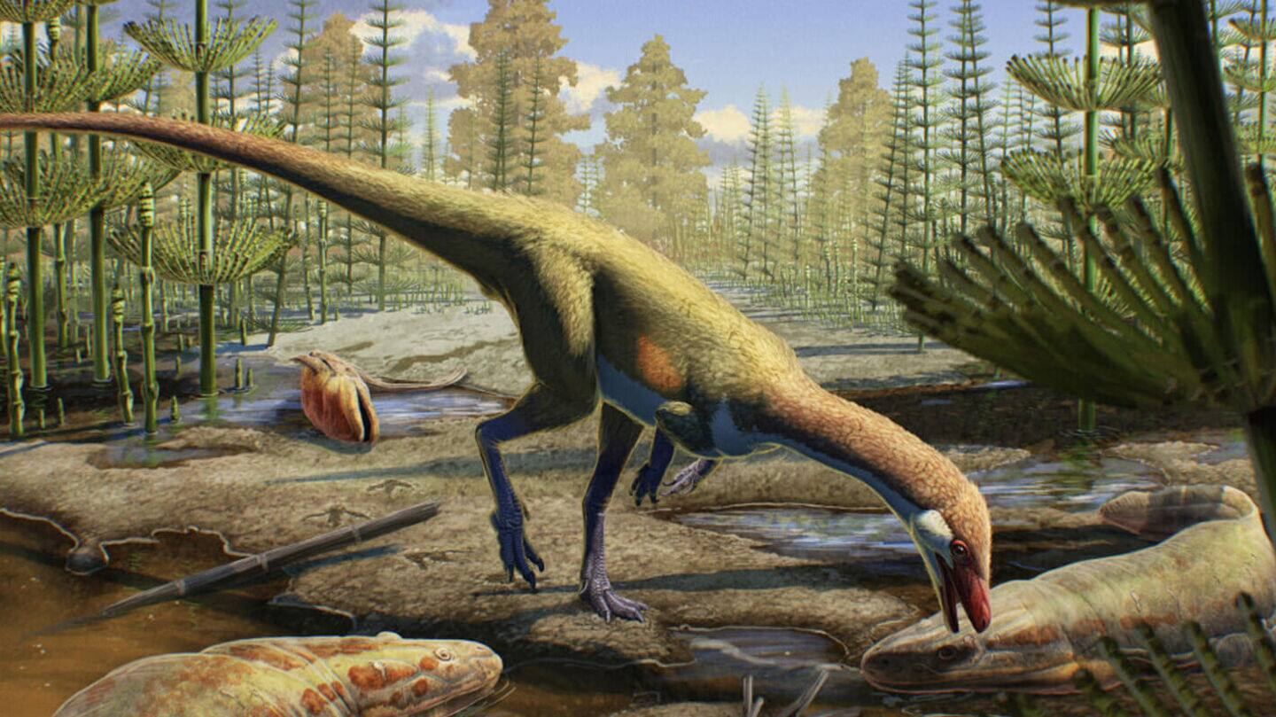 Dinosaurs of different species may have coexisted, study finds