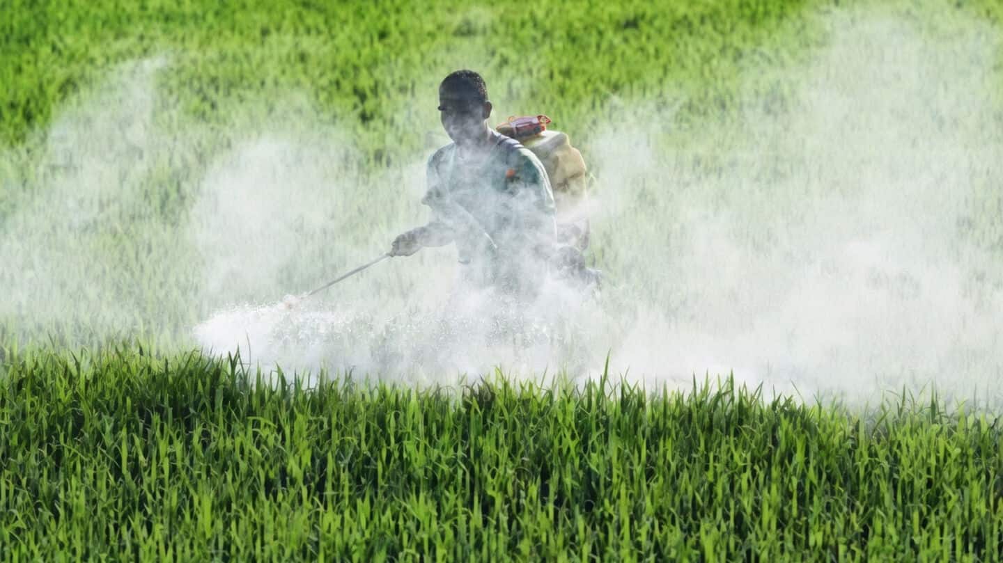 India secures urea imports at $444.90 to $617 per ton