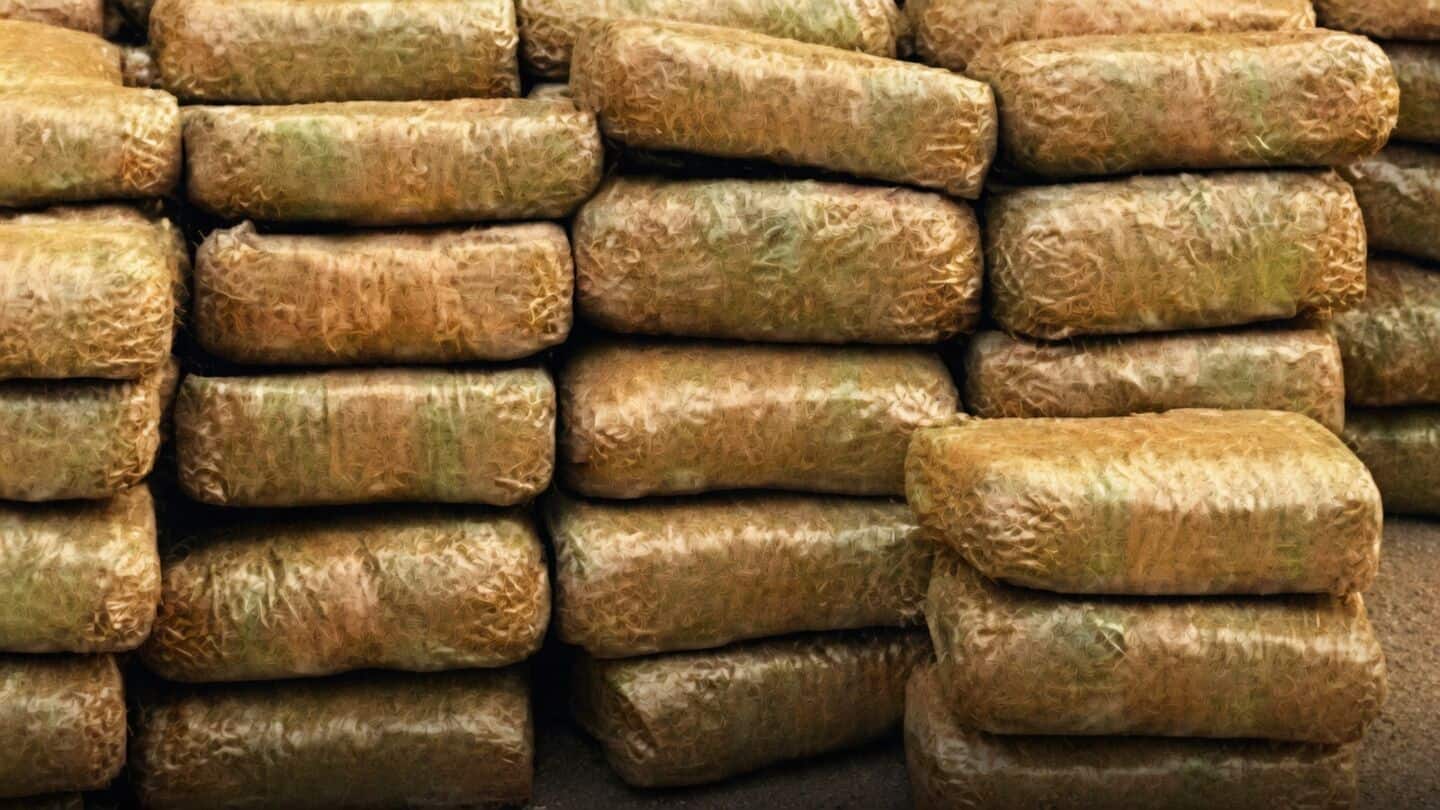 Kerala railway police, RPF arrest 3 after 34kg cannabis seizure