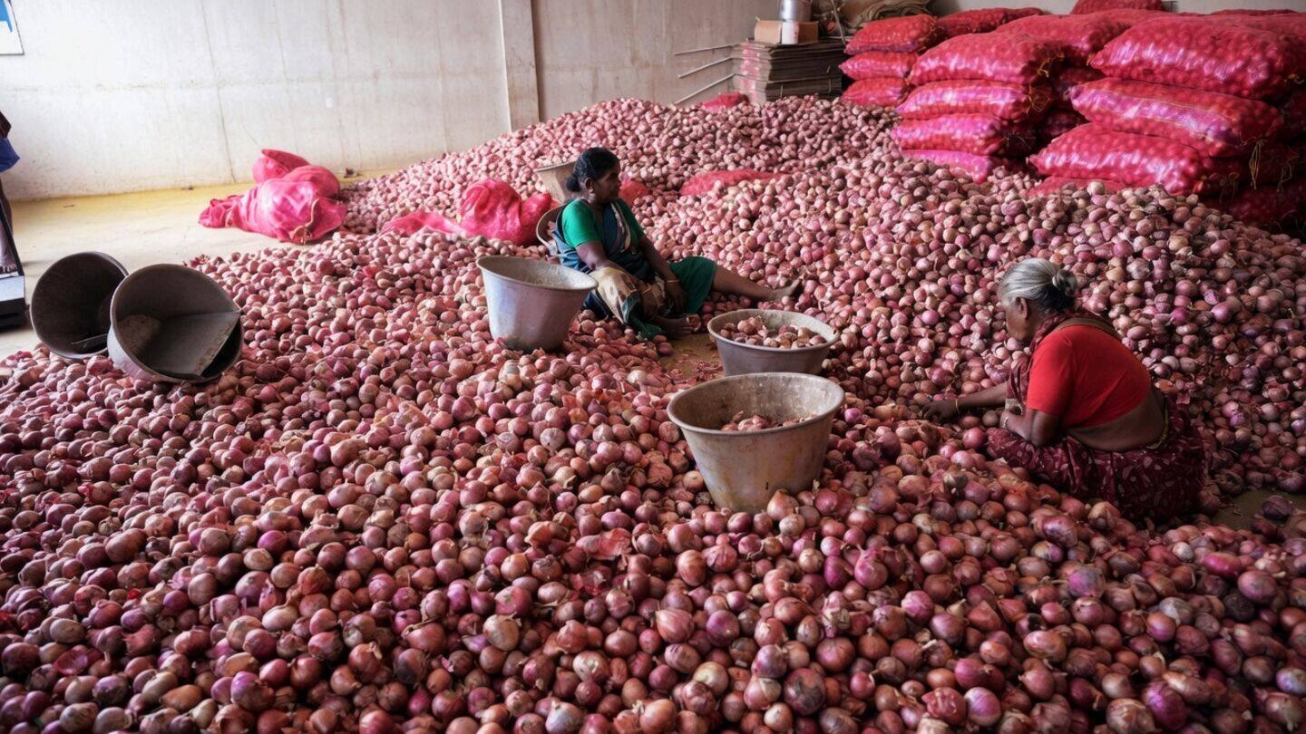 Maharashtra forms panel to probe onion price drops and exports