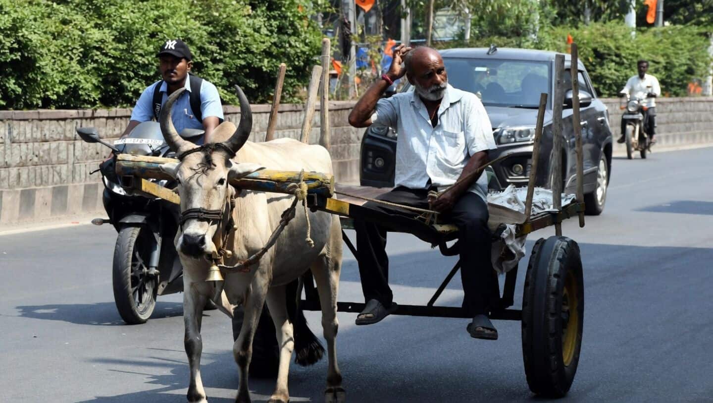 Telangana CM urges avoiding afternoon travel amid IMD heatwave