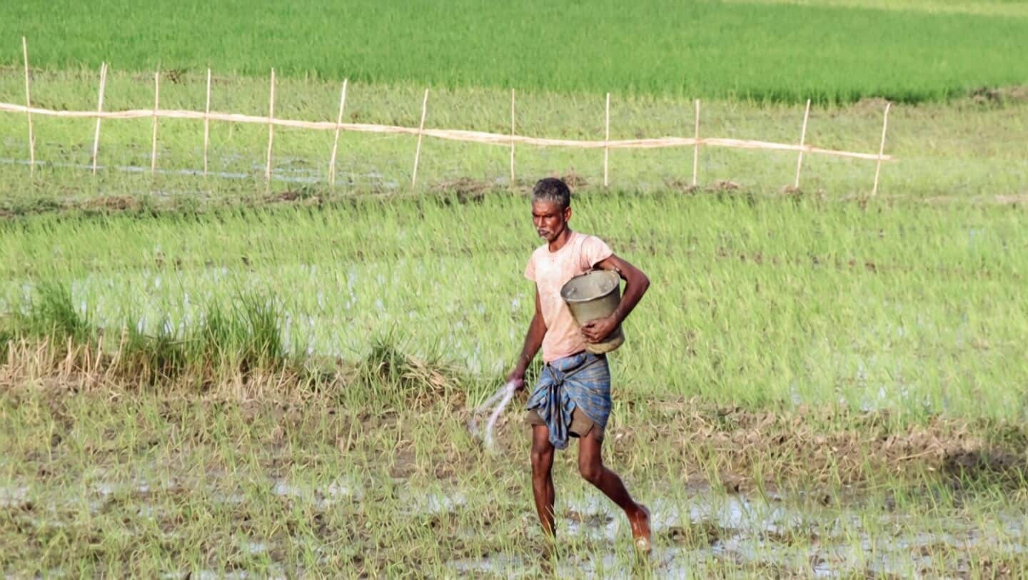 Forecasters flag possible super El Nino affecting India's monsoon