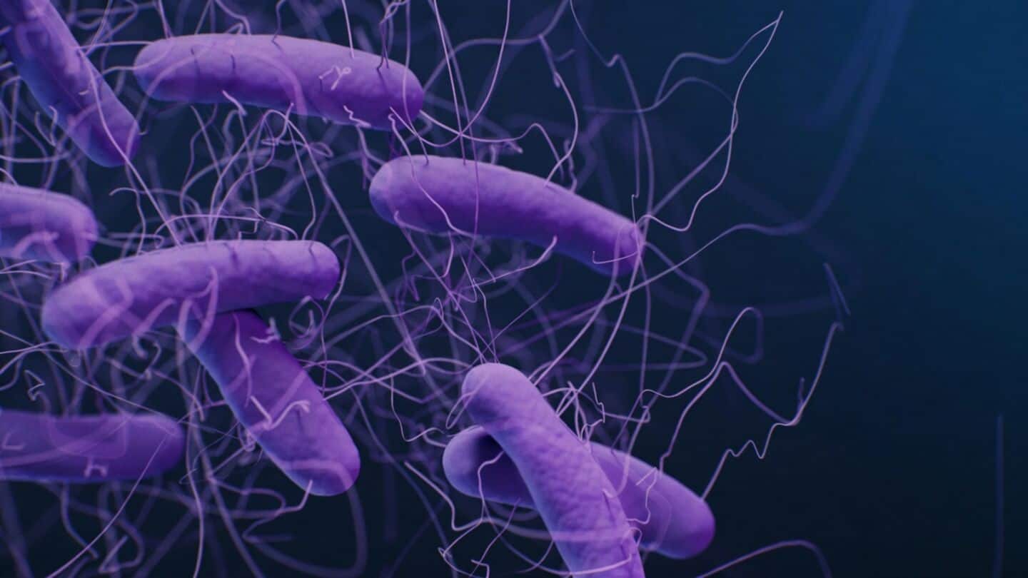 Oxford study finds colistin failing against Pseudomonas via pmrB mutations