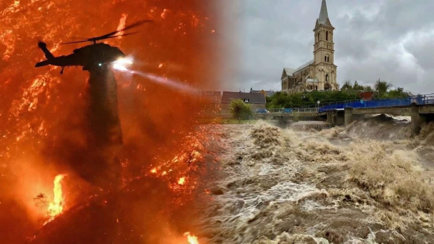 Study: Third of land-animal habitats threatened by 2085 with warming