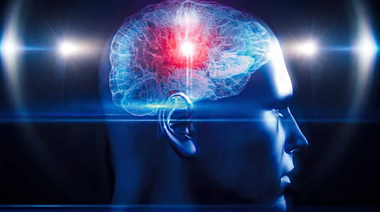 Scientists find hypothalamic menin decline linked to aging in mice