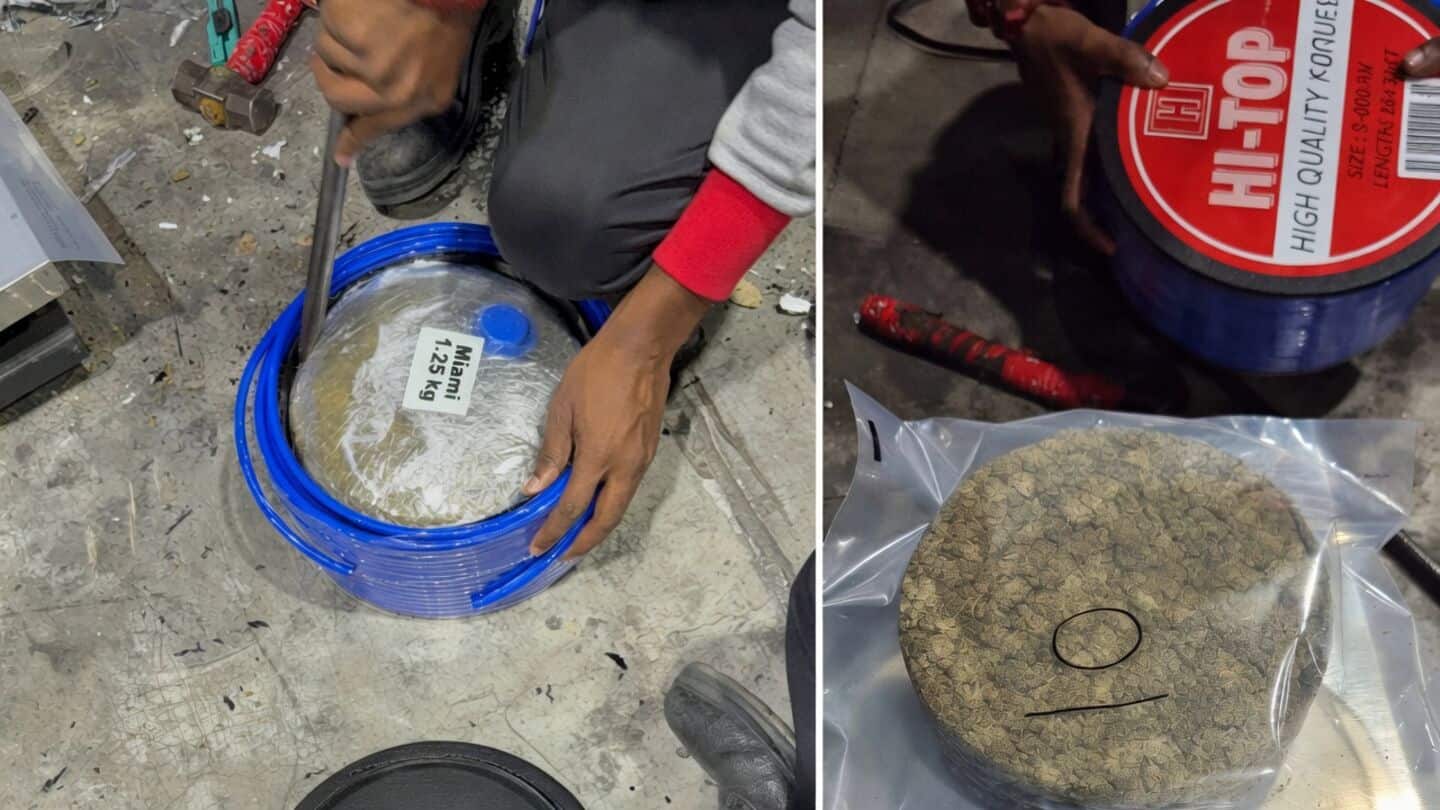 Delhi Customs intercepts Bangkok shipment of suspected hydroponic weed