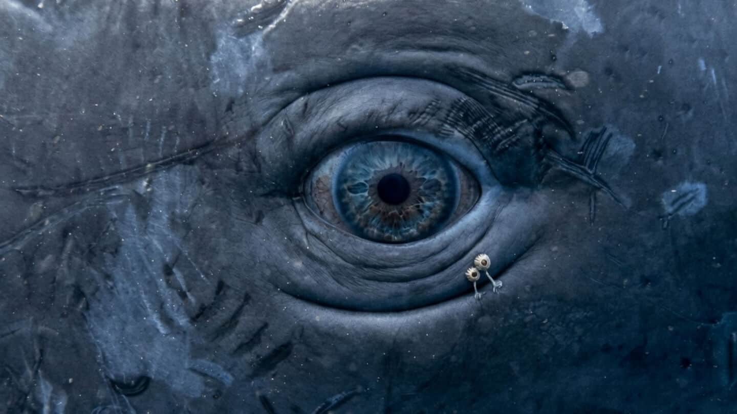 UC Berkeley and Project CETI find speech-like sperm whale codas