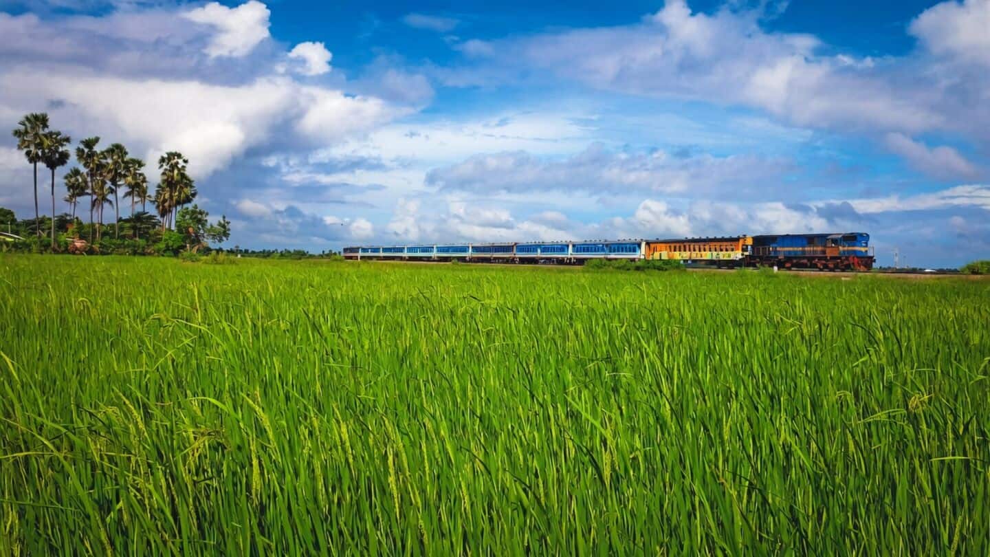 Indian government sets 708.64L mt paddy procurement target for Kharif