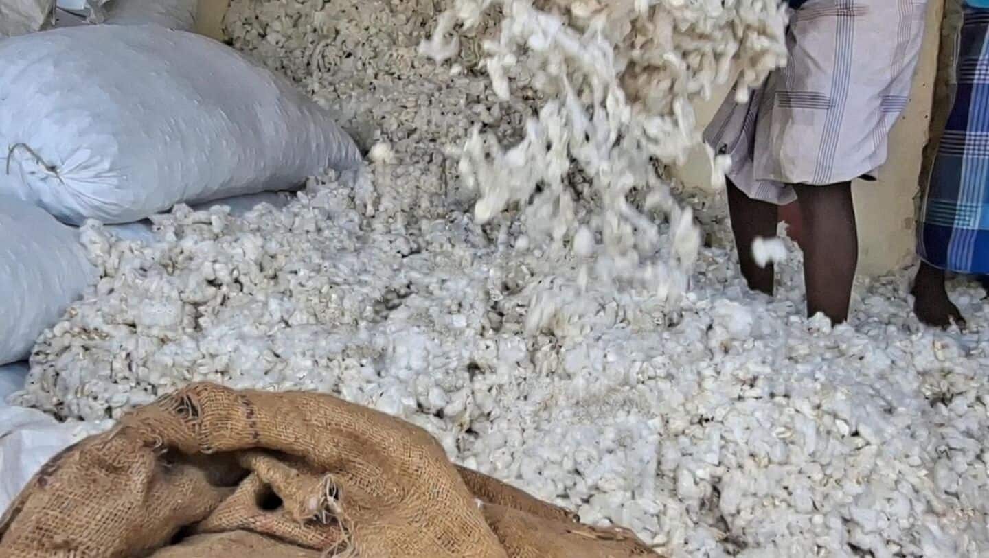 India cotton prices surge ₹60,500 as mills seek duty review