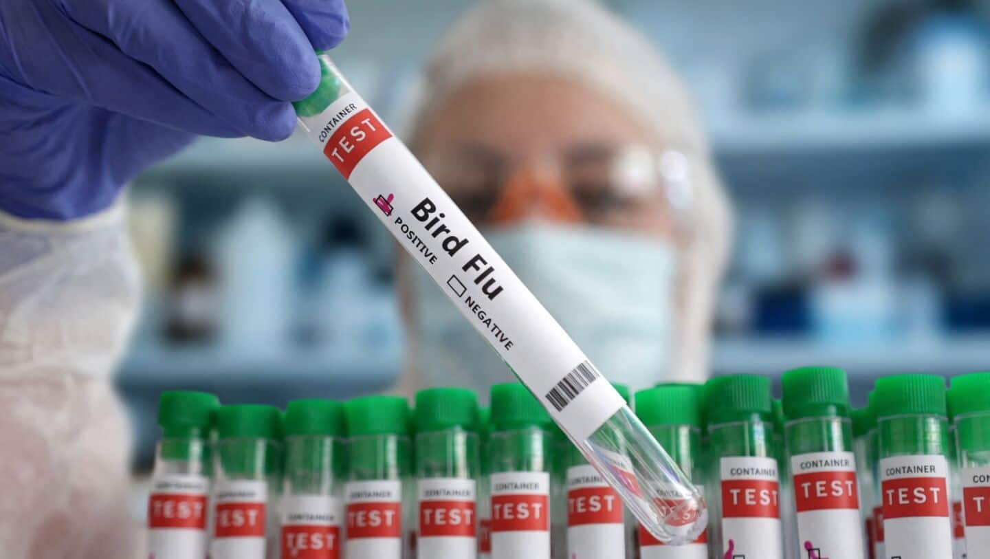Navapur Maharashtra veterinary staff suspected of human avian influenza recover