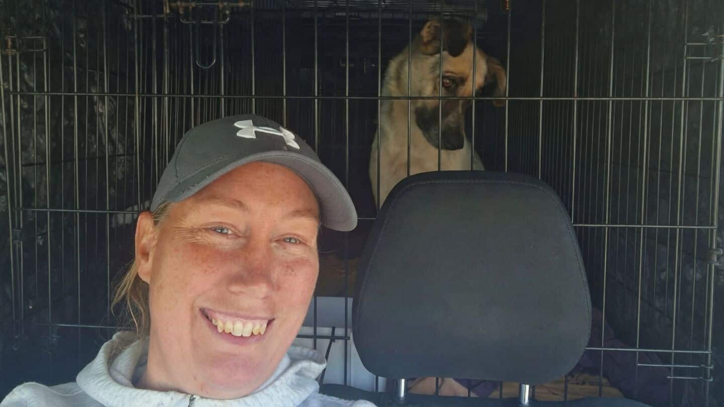 Two British volunteers killed in Romania car crash rescuing dogs