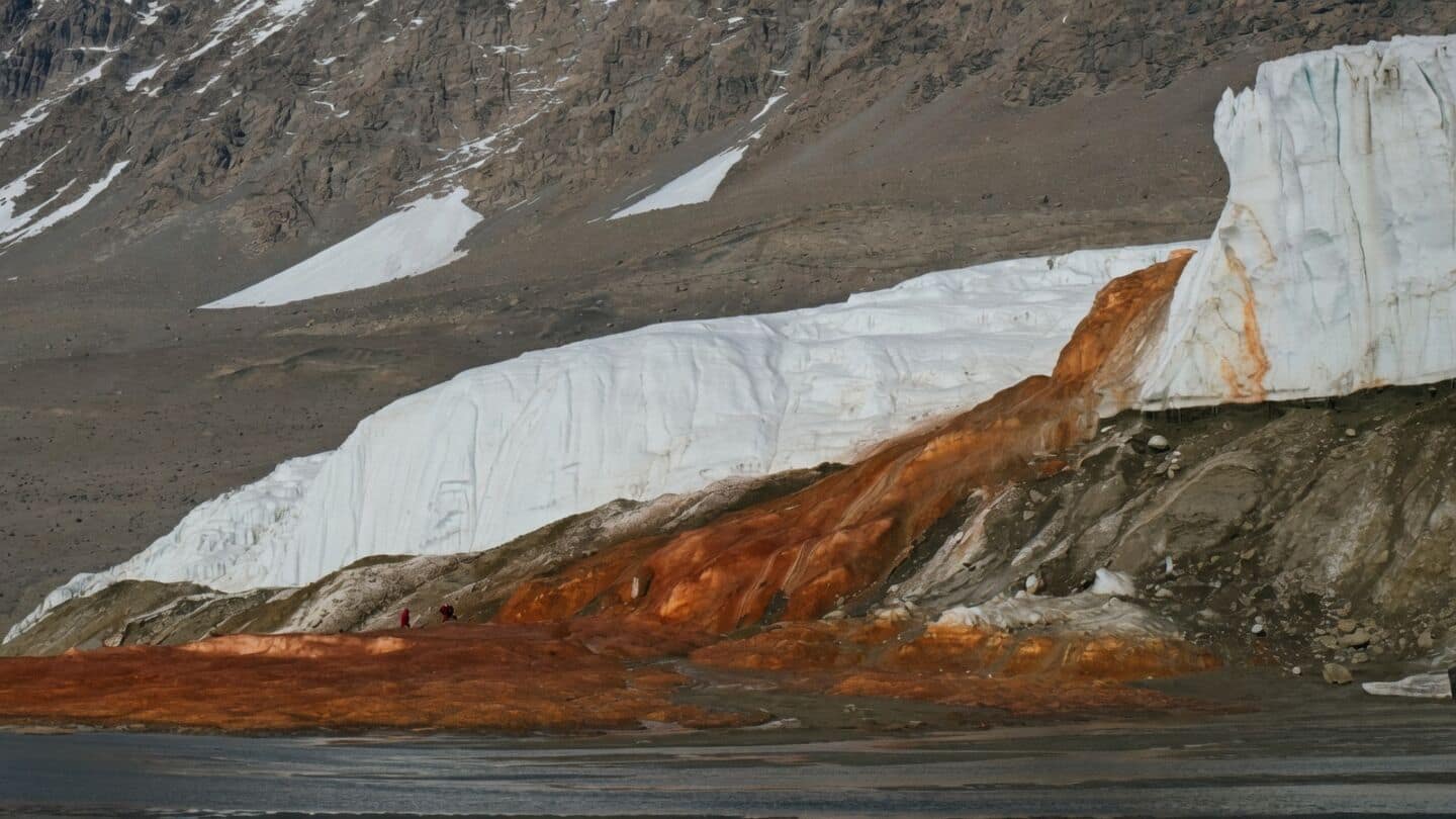 Study finds marine microbes in Antarctica's ancient Blood Falls seawater