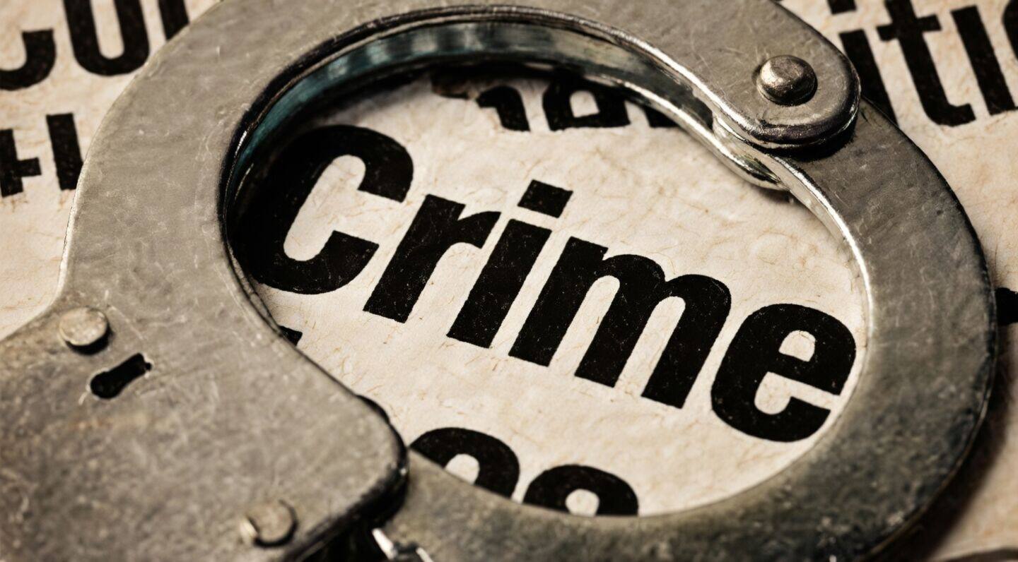Delhi Police arrest 482 in 'Gang Bust 2.0' operation