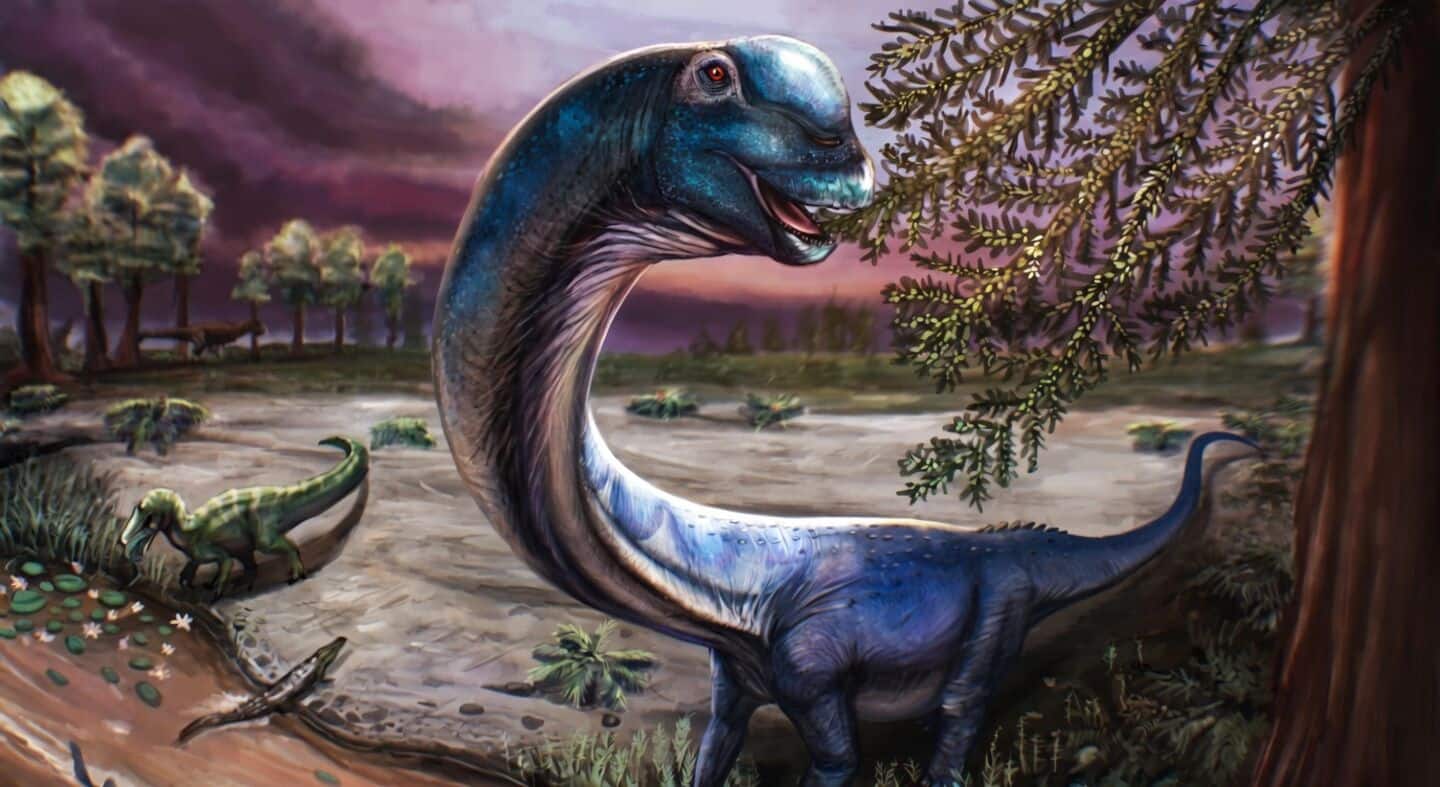 New titanosaur Nagatitan chaiyaphumensis named Southeast Asia's largest dinosaur