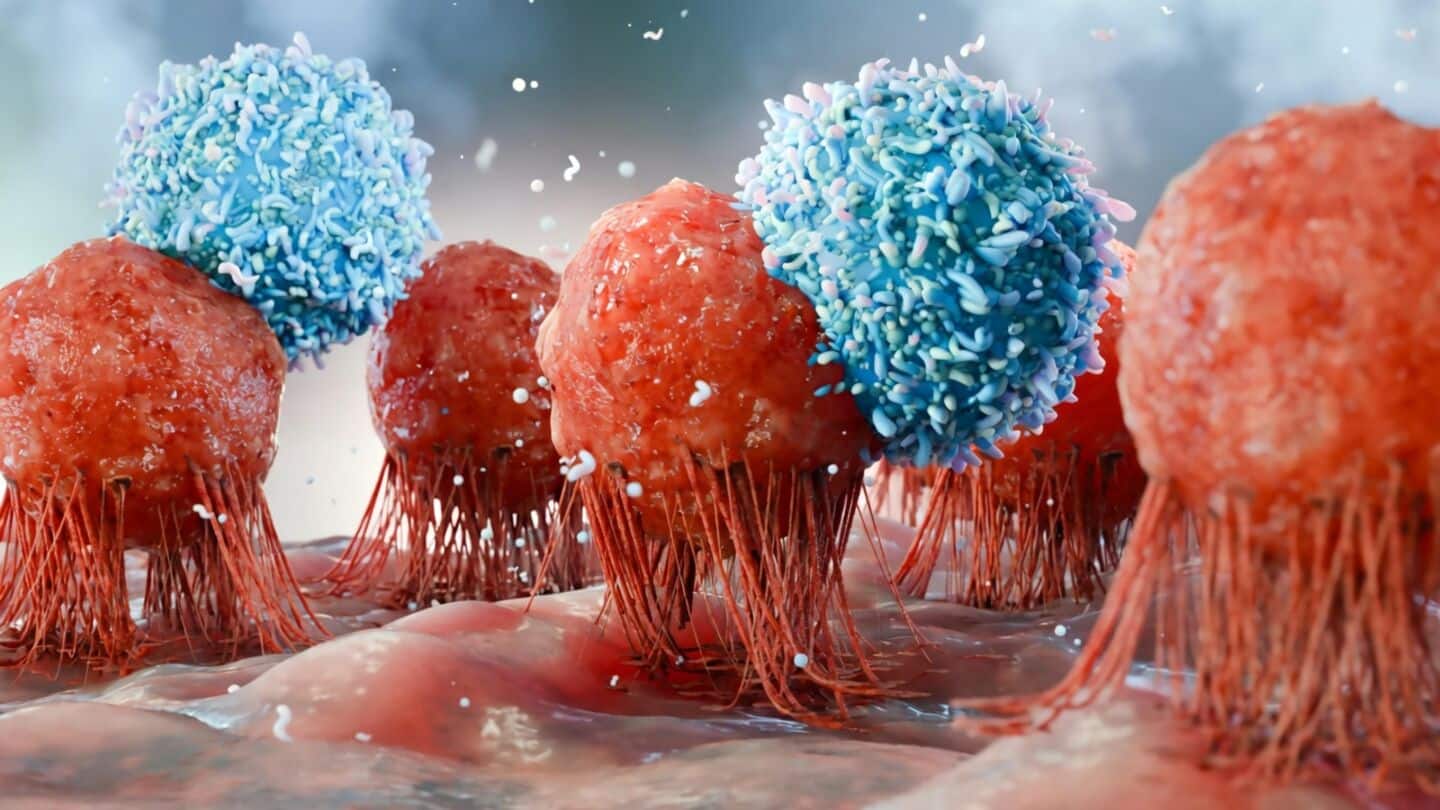 USC researchers produce potentially renewable cancer-fighting immune cells from GMPs