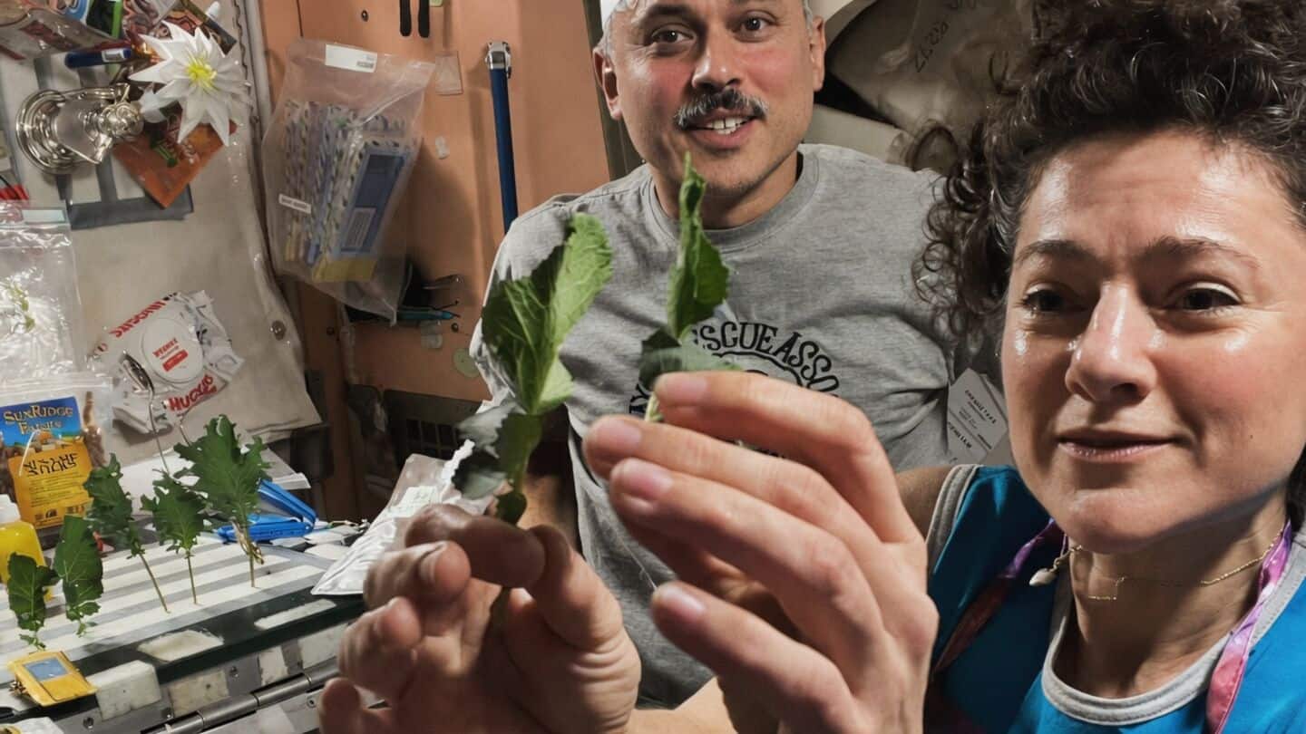 Astronauts Menon and Meir grow kale, wasabi mustard on ISS