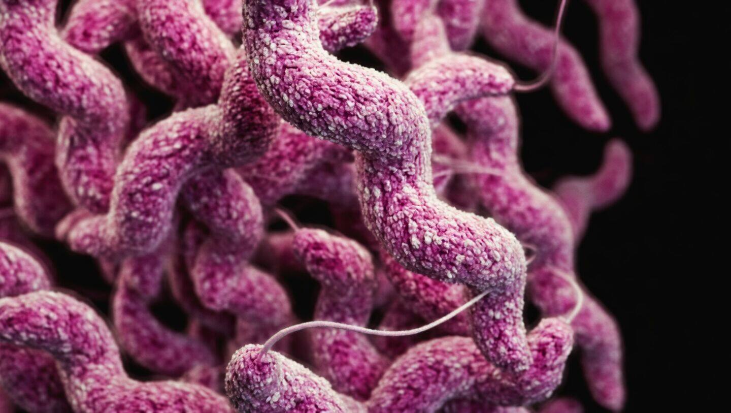 University of Minnesota builds 'SpudCells' that reproduce but lack metabolism