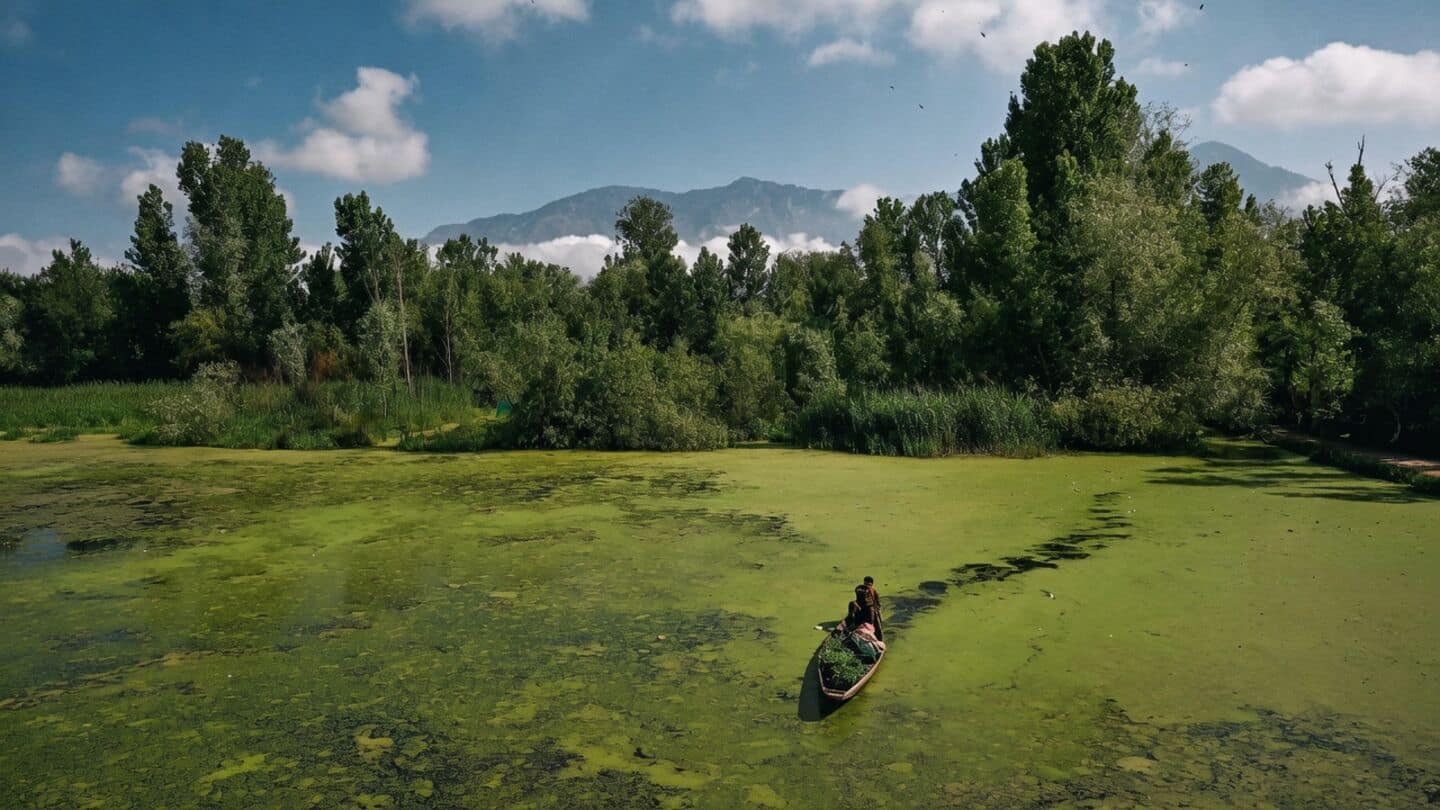 Jammu and Kashmir likely mild winter as El Nino continues