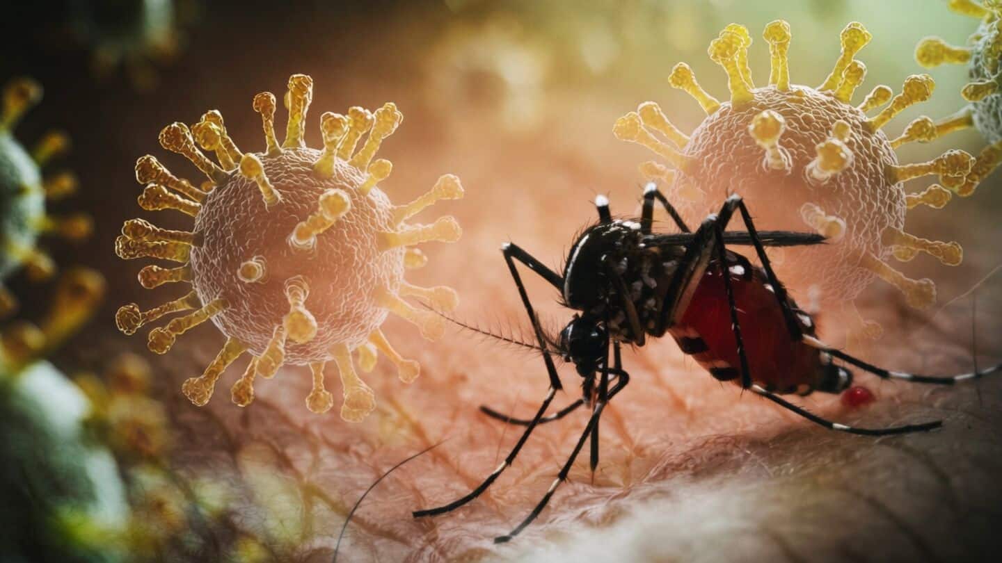 More than a 3rd of 570 Delhi dengue cases untraceable