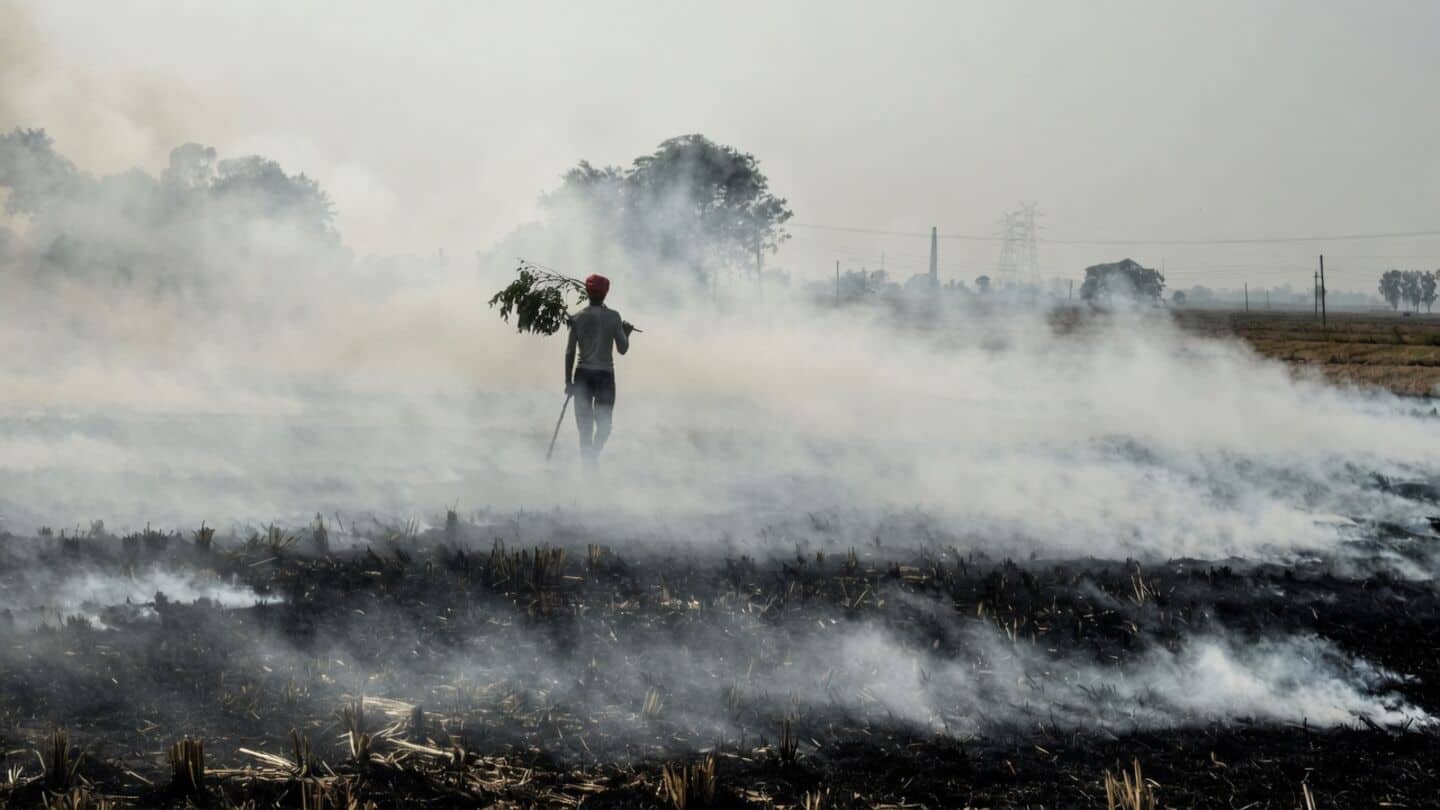 Farm fires rise again as Madhya Pradesh reports 354
