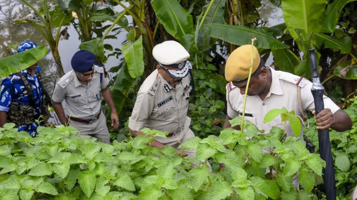 West Bengal orders CID and judicial inquiry after Baruipur encounter