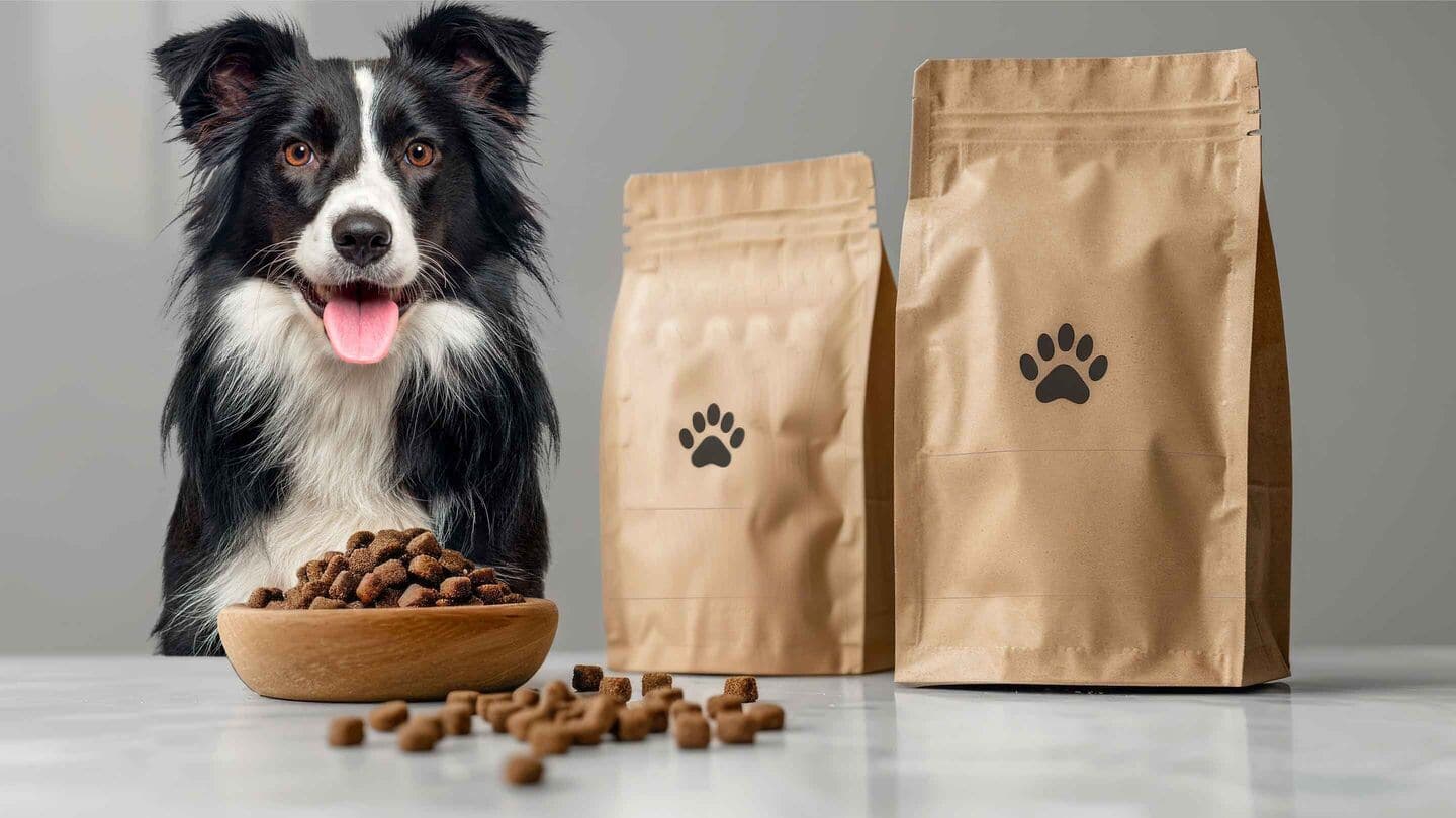 Reliance launches Waggies: Affordable pet food for India