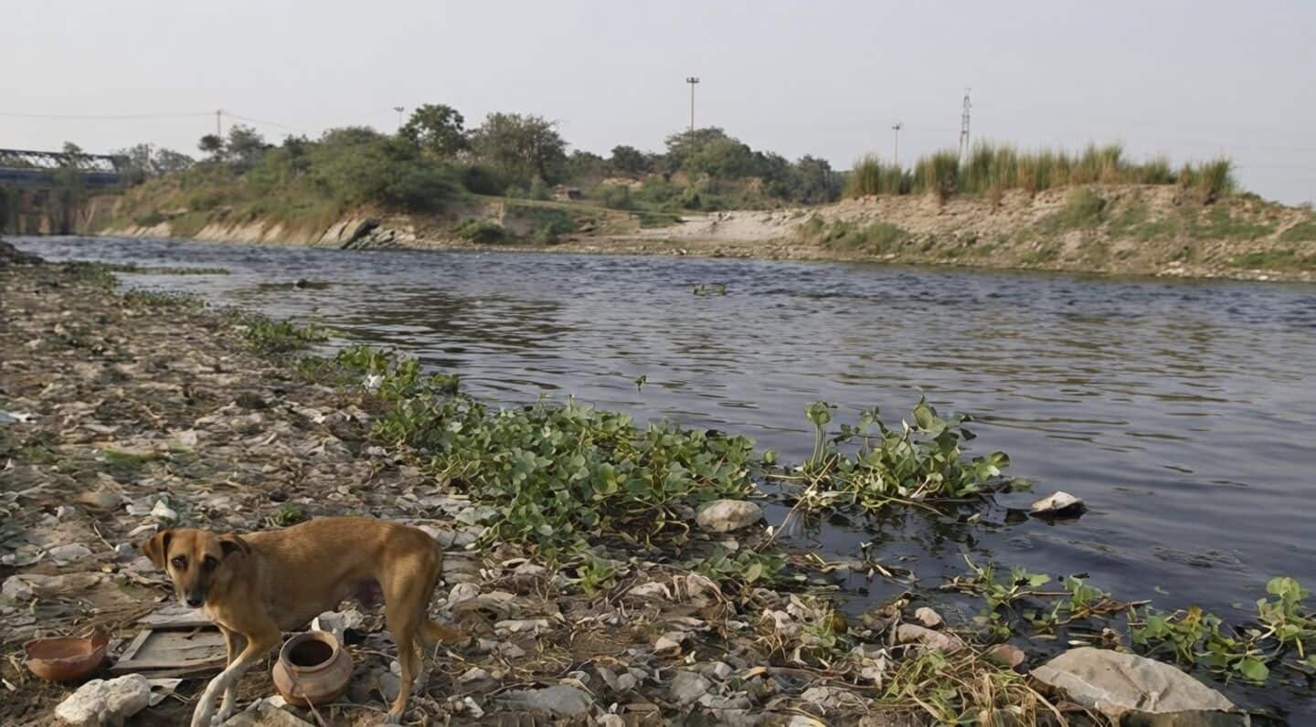 Delhi allocates ₹28.8cr for in-situ cleaning of Yamuna drains