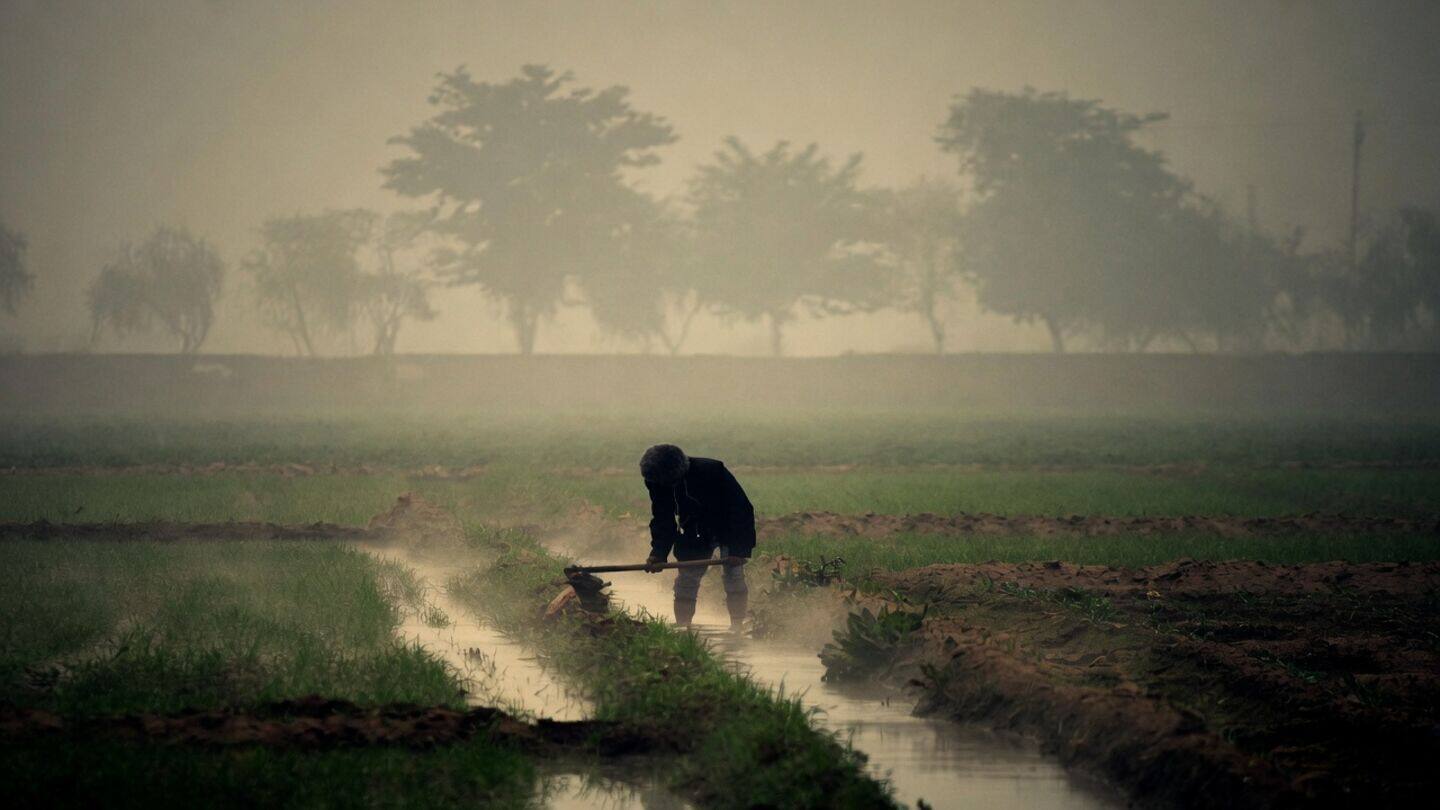 WMO warns El Nino could persist until February 2027
