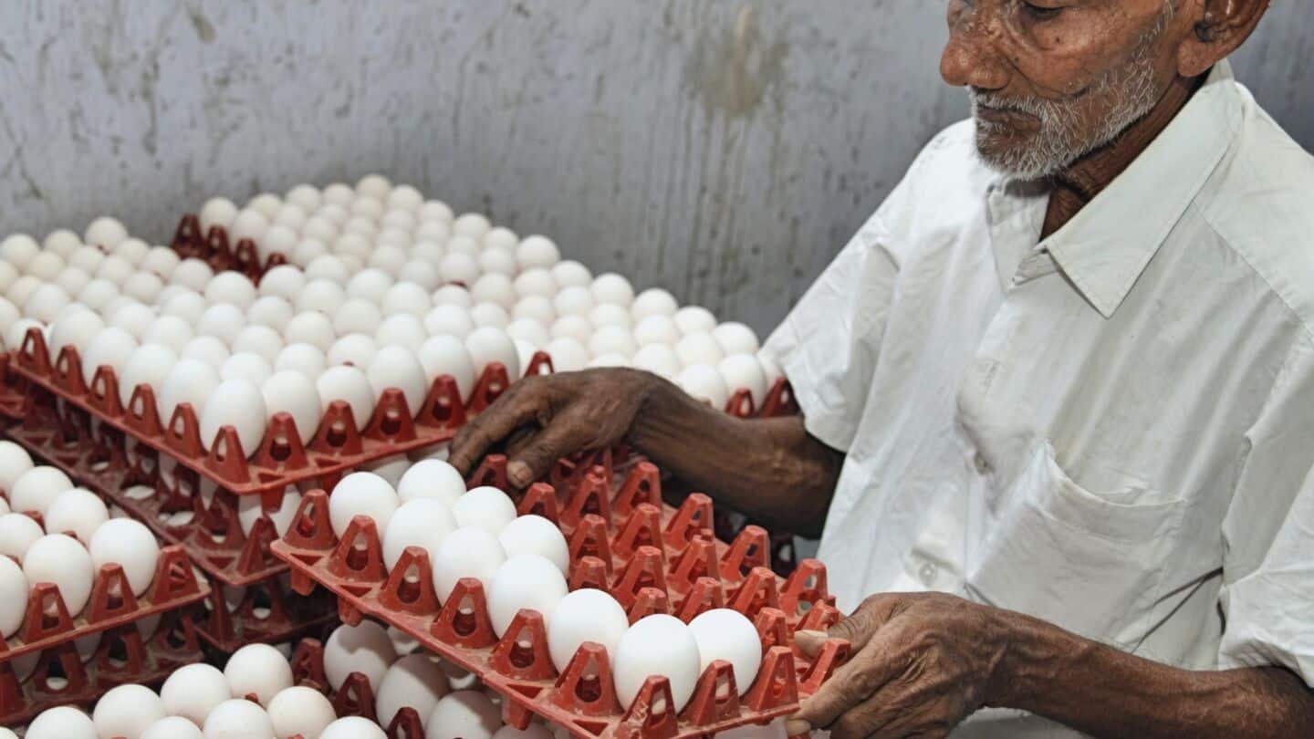 India's egg exports rebound to half levels amid rising costs