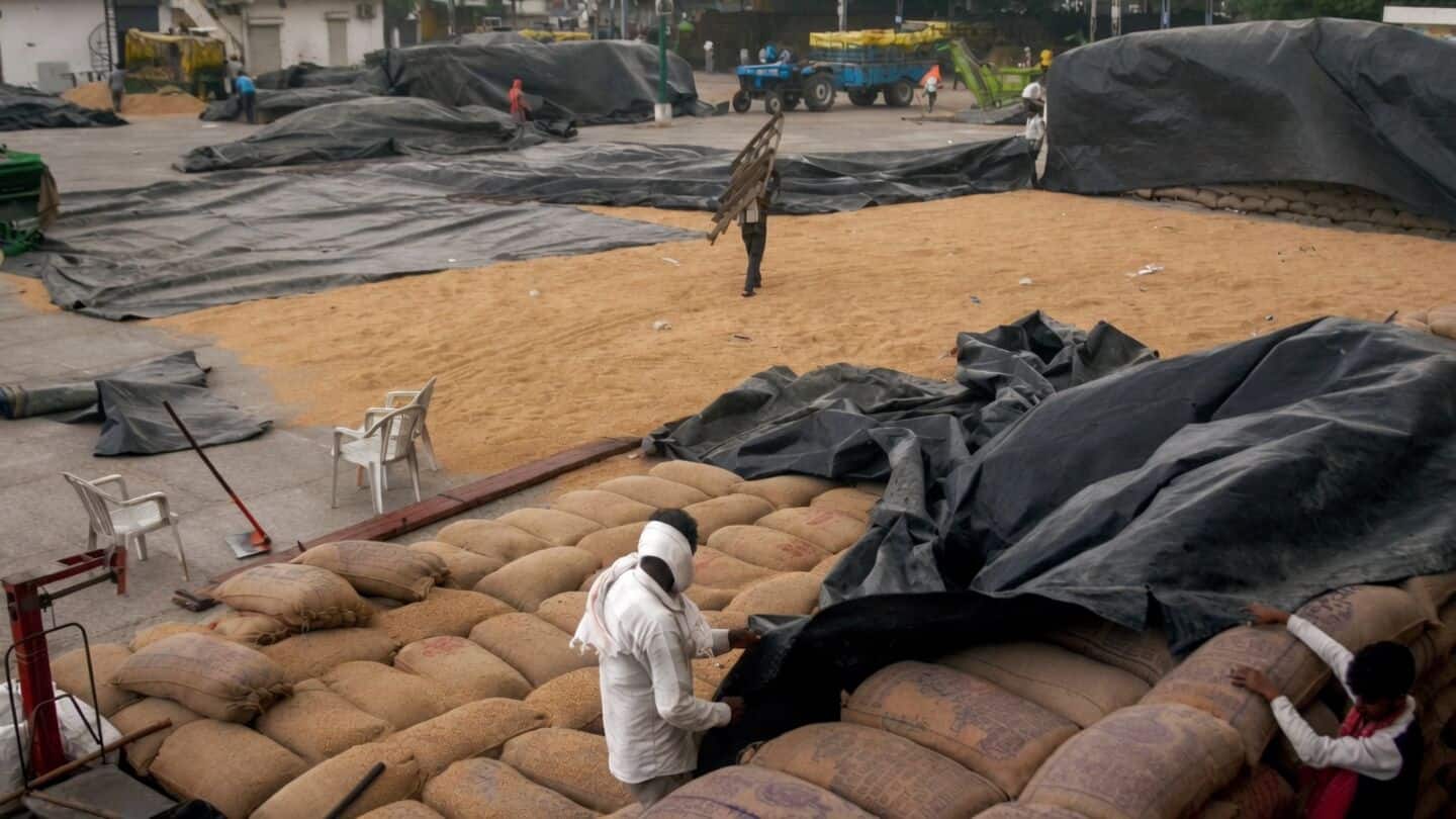 Haryana buys 1.55 million metric tons paddy, pays ₹12.21 billion