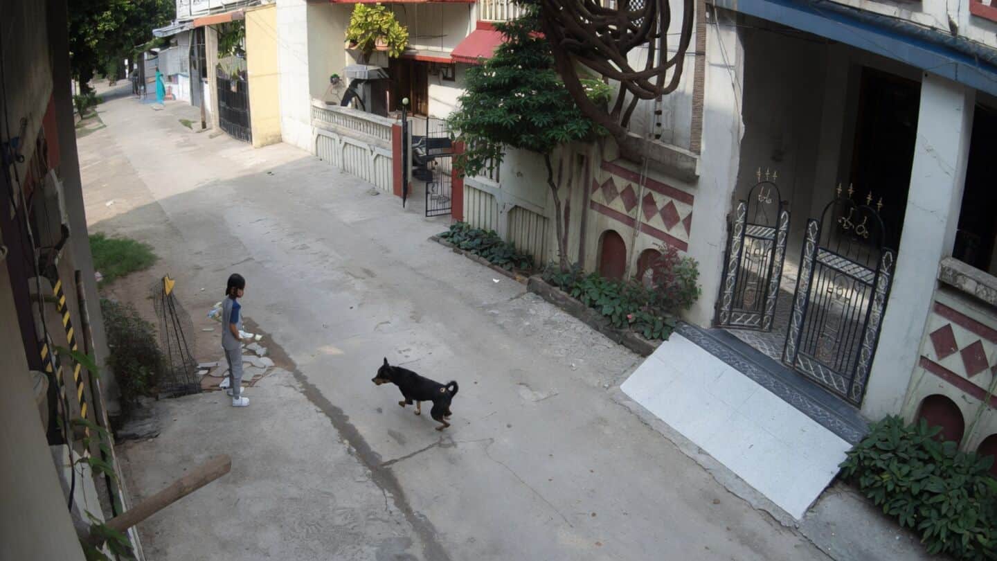 CCTV shows stray dogs attack 7-year-old outside Gondia, Maharashtra home