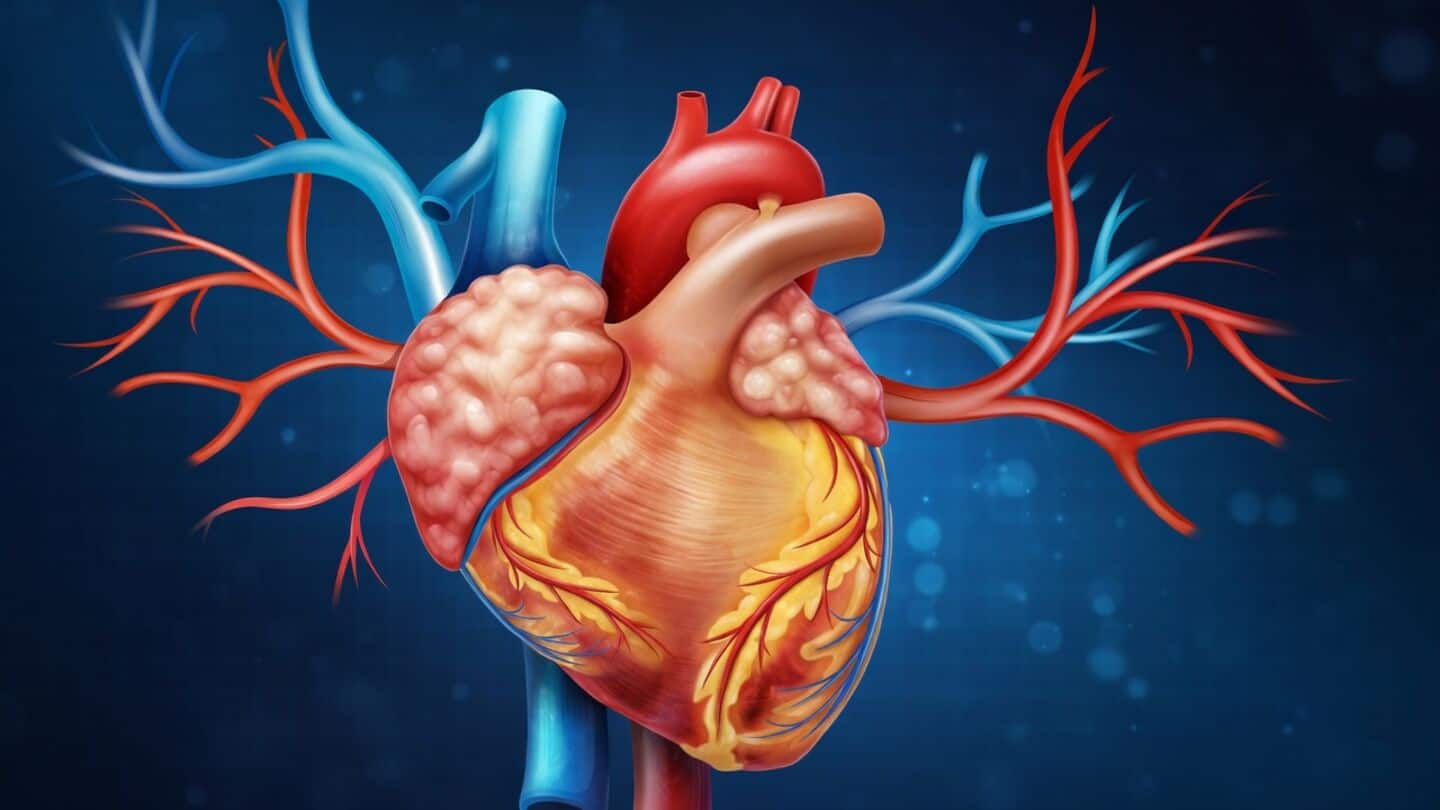 Kerala CM V.D. Satheesan sparks debate over angioplasty overuse