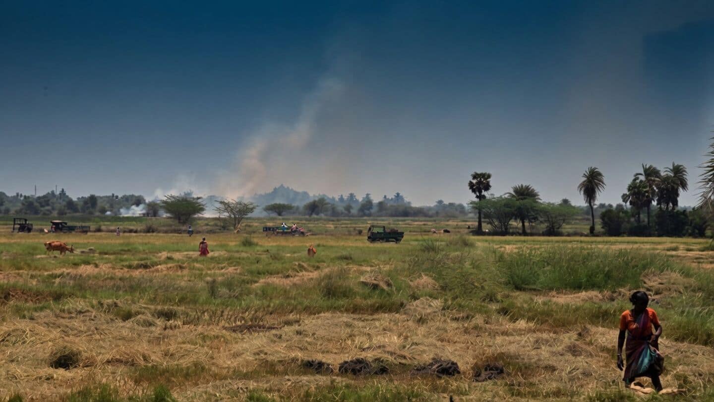 Tamil Nadu scraps Parandur 2nd airport plan after farmer protests