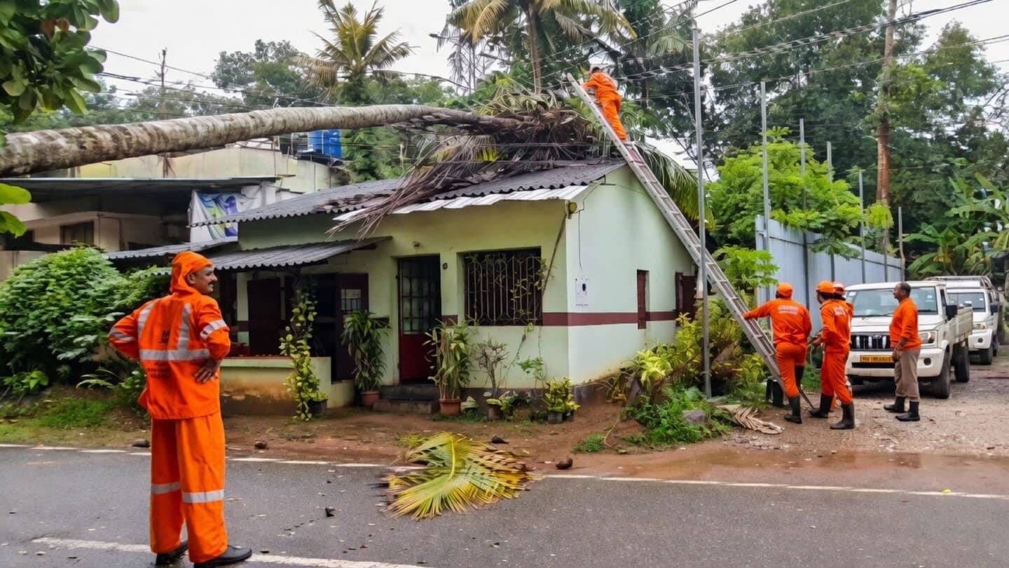 IMD places orange alert on 7 Kerala districts, thunderstorms expected