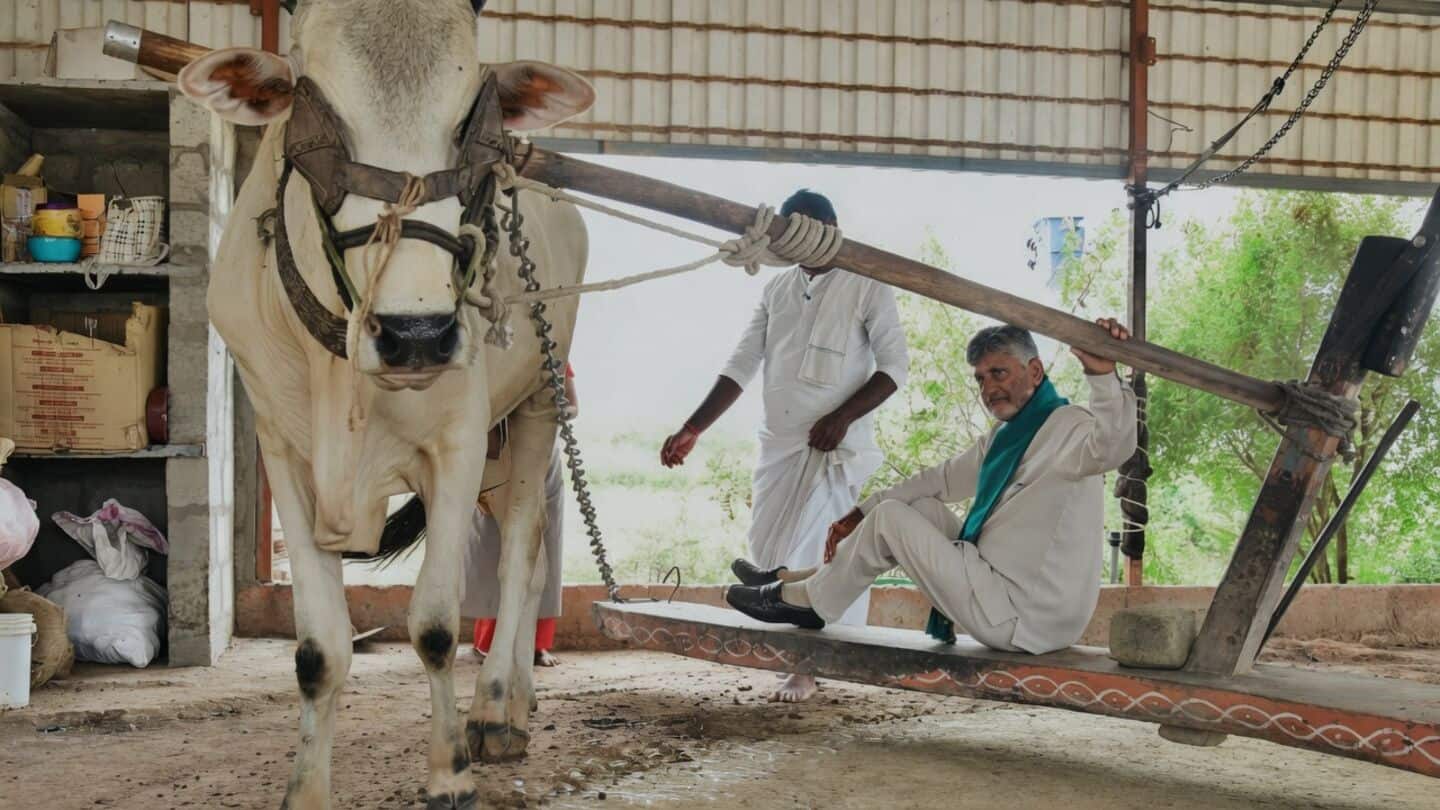 AP CM Naidu disburses ₹3125cr to 46.85L farmers under PM-Kisan