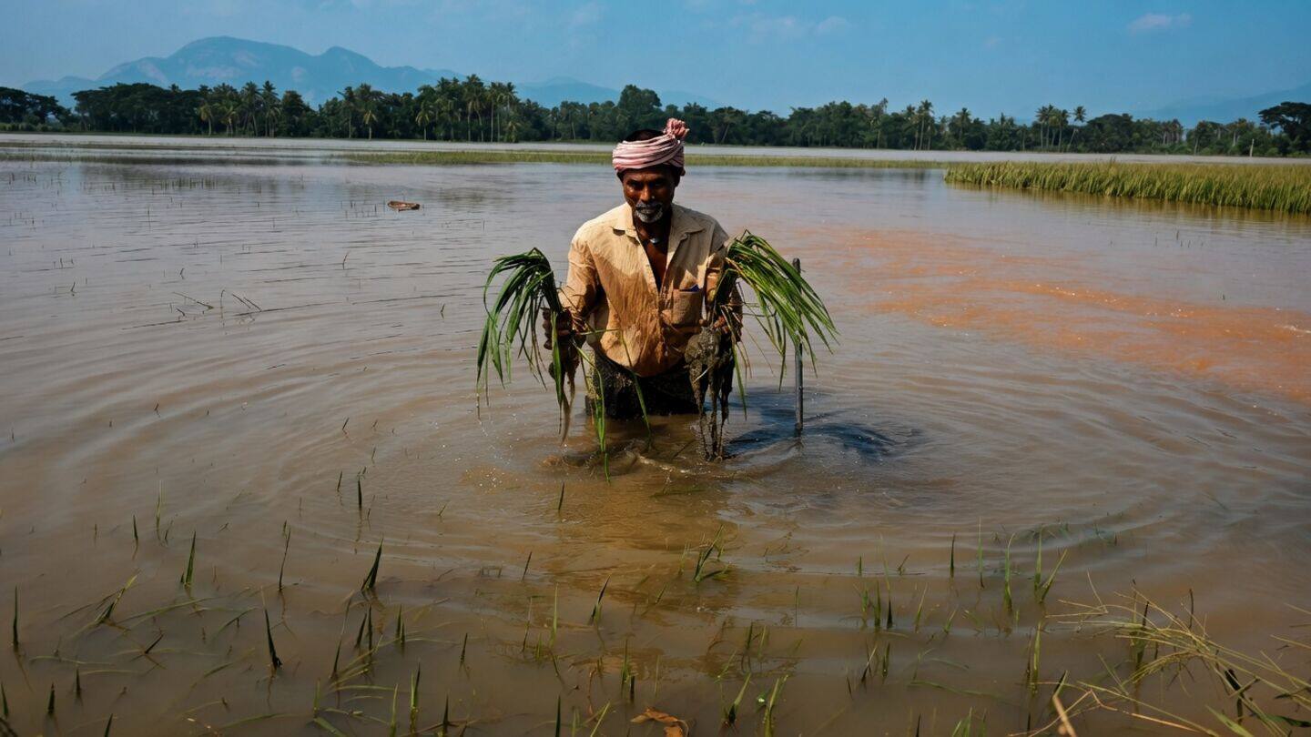 Andhra Pradesh floods: Chandrababu Naidu ensures power restoration, 50kg rice
